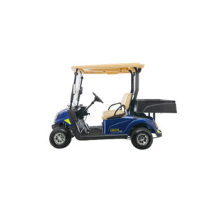 LeRoad | The New Standard in Golf Cart Excellence